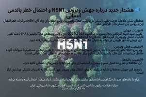 هشدار جدید درباره جهش ویروس H5N1 و احتمال خطر پاندمی انسانی